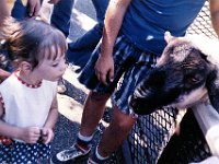 1972081005 Darla Hagberg - Brookfield Zoo - Chicago IL : Brookfield Zoo, Chicago, IL : Darla Hagberg