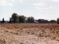 1978105021 Old Jamieson Homestead - East Moline IL