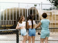 1979 08 2 Darla Hagberg at Niabi Zoo