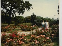 1985000141 Darel-Betty-Darla Hagberg - East Moline IL : Thornbloom Family Reunion