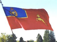 200209 65 RCMP Flag