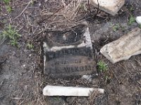 2003040028 Grave Marker of Wealthy Ann Johnson Wixom - Crane