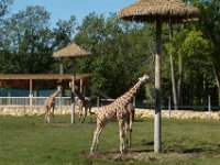 2009083050  Niabi Zoo - Coal Valley IL