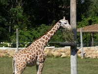 2009083053  Niabi Zoo - Coal Valley IL