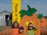 2010105092 Pumpkin Farm - Wapalo IA : Alexander Jones,Isabella Jones,Angela Jones
