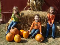 2010105101 Pumpkin Farm - Wapalo IA : Isabella Jones,Alexander Jones,Angela Jones