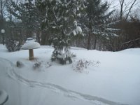 2011022005 Record Snow Fall at Hagberg Home - Moline IL