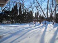 2011022035  Angela-Bella-Alex Jones-Record Snow Fall at Hagberg Home - Moline IL