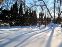 2011022036  Angela-Bella-Alex Jones-Record Snow Fall at Hagberg Home - Moline IL