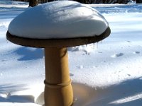 2011022045  Angela-Bella-Alex Jones-Record Snow Fall at Hagberg Home - Moline IL