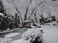 2012021007  Winter at our Home in February - Moline IL