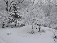 2012021009  Winter at our Home in February - Moline IL
