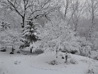 2012021010  Winter at our Home in February - Moline IL