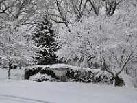 2012021014  Winter at our Home in February - Moline IL