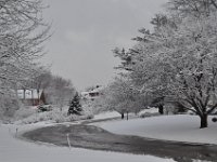 2012021016  Winter at our Home in February - Moline IL