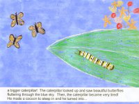 2012042012 Isabella Jones - WQPT Writers Contest - I Think It Is A Butterfly-Page 4