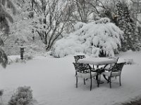 201302801 Snowfall in Moline IL