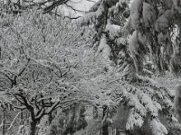 201302802 Snowfall in Moline IL