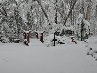 201302803 Snowfall in Moline IL