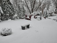 201302805 Snowfall in Moline IL