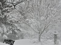 201302807 Snowfall in Moline IL