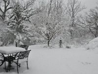 201302808 Snowfall in Moline IL