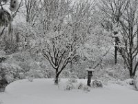 201302811 Snowfall in Moline IL