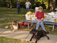 2013104018  Peterson Family Reunion Picnic - Black Hawk State Park - Rock Island IL -Oct 12