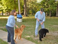 2013104024  Peterson Family Reunion Picnic - Black Hawk State Park - Rock Island IL -Oct 12