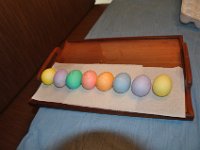 2014044458 Angela-Isabella-Alexander Jones Painting Easter Eggs - Moline IL