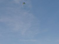 2014044502 Kite Flying - Taylor Ridge IL - Apr 20