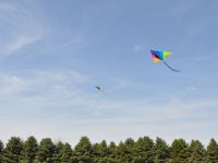 2014044508 Kite Flying - Taylor Ridge IL - Apr 20