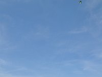 2014044511 Kite Flying - Taylor Ridge IL - Apr 20
