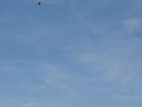 2014044514 Kite Flying - Taylor Ridge IL - Apr 20