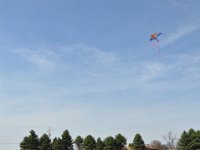 2014044516 Kite Flying - Taylor Ridge IL - Apr 20