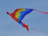 2014044523 Kite Flying - Taylor Ridge IL - Apr 20