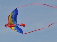 2014044524 Kite Flying - Taylor Ridge IL - Apr 20