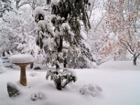 2015013002 Illinois in Winter - Moline IL