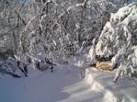 2015021002 Our Home in Winter - Feb 2