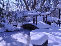 2015116008 Winter in Illinois - Moline IL