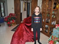 2015127023 Christmas Day at the Hagbergs - Moline IL