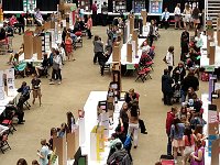 2016034002 Angela Jones- Iowa Science Fair-Ames IA Mar 31-Apr2