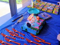 2016063045 Angela Jones Birthday Swim Party, East Moline, IL (June 25, 2016)