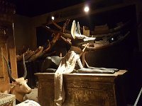 2016081033 Tutankhamun Exhibit - Putman Museum, Davenport, Iowa (August 17)