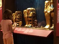 2016081084 Tutankhamun Exhibit - Putman Museum, Davenport, Iowa (August 17)