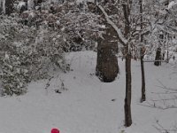 2016121021 Winter in Moline IL Dec 4