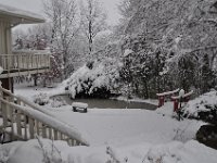 2016121027 Winter in Moline IL Dec 4