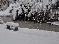 2016121029 Winter in Moline IL Dec 4