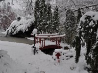 2016121030 Winter in Moline IL Dec 4