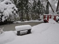 2016121034 Winter in Moline IL Dec 4